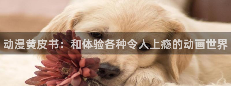 omofun动漫在哪下载